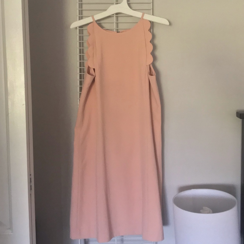 Ann Taylor Dress